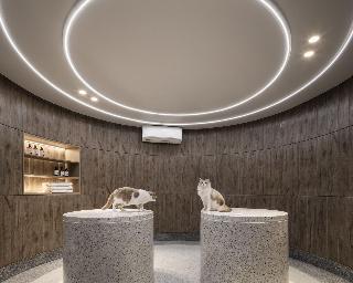 Mike Orchid Resort fotoÄŸrafÄ±