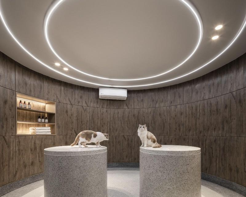 Mike Orchid Resort - Oda