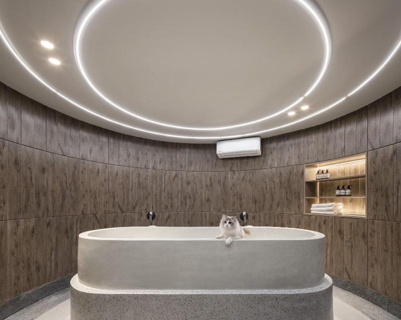 Mike Orchid Resort - Oda