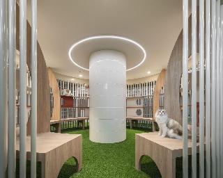 Mike Orchid Resort fotoÄŸrafÄ±