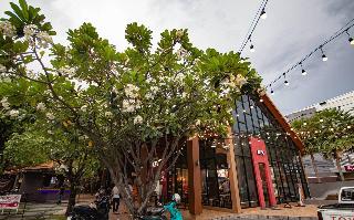 Icon Park Hotel Chiang Mai fotoÄŸrafÄ±