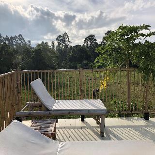 Samui Zenity Hotel fotoÄŸrafÄ±