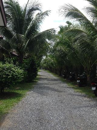 Naya Bungalow fotoÄŸrafÄ±