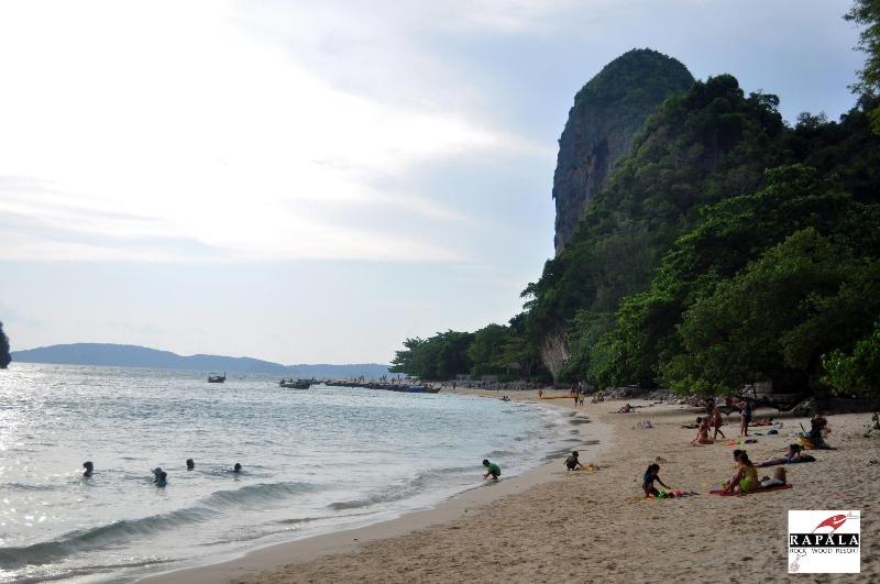 Rapala Rock Wood Resort - Plaj