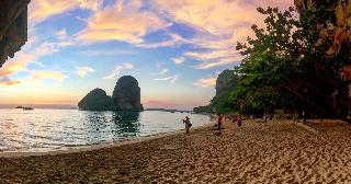 Rapala Rock Wood Resort fotoÄŸrafÄ±