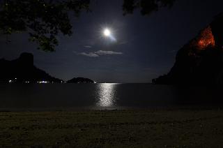 Rapala Rock Wood Resort fotoÄŸrafÄ±