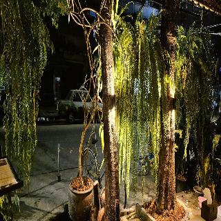Shanti Lodge Bangkok fotoÄŸrafÄ±