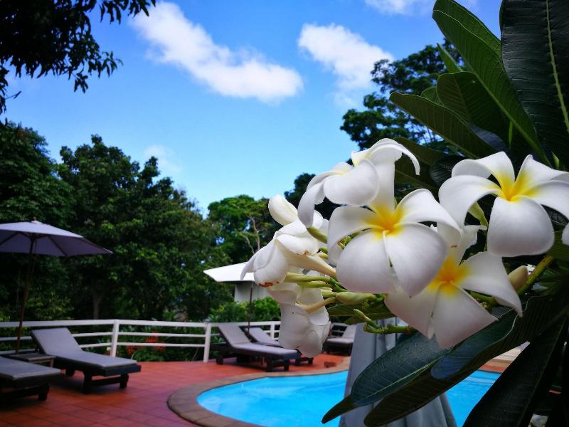On The Hill Karon Resort - Aktivite