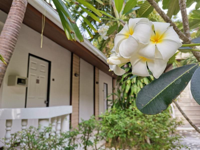 On The Hill Karon Resort - Genel