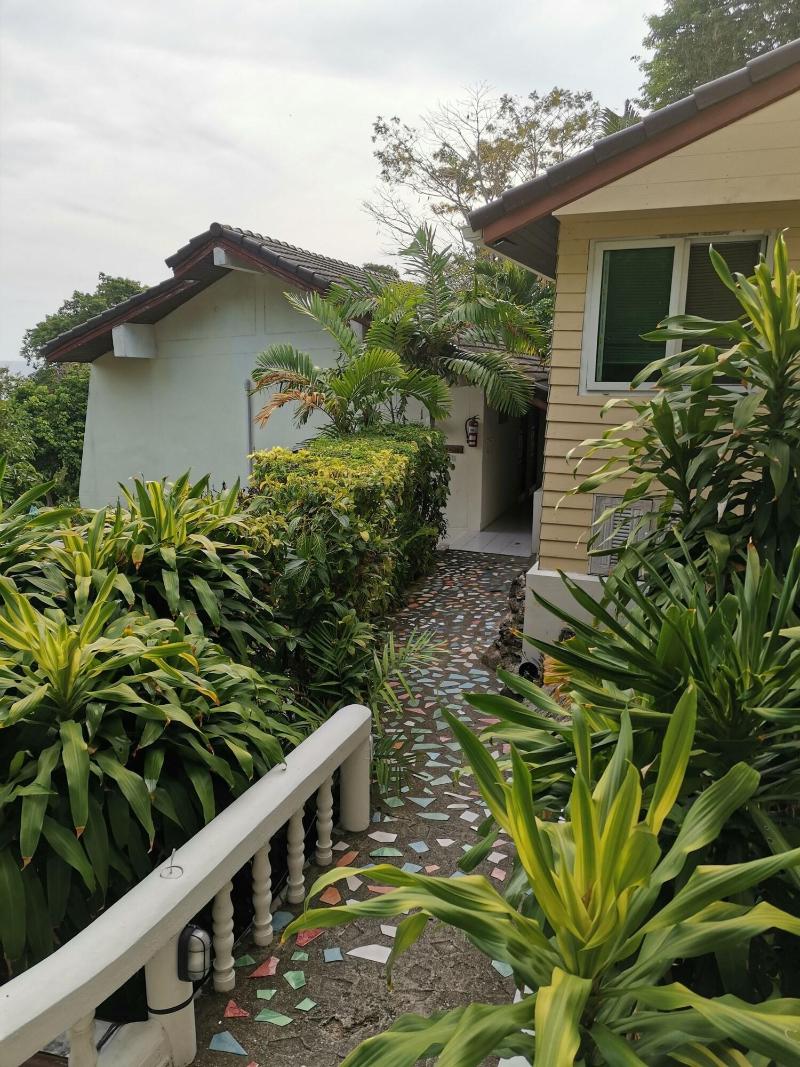 On The Hill Karon Resort - Genel