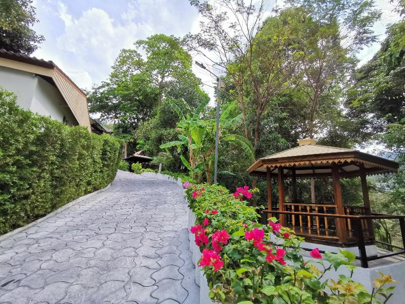 On The Hill Karon Resort - Genel