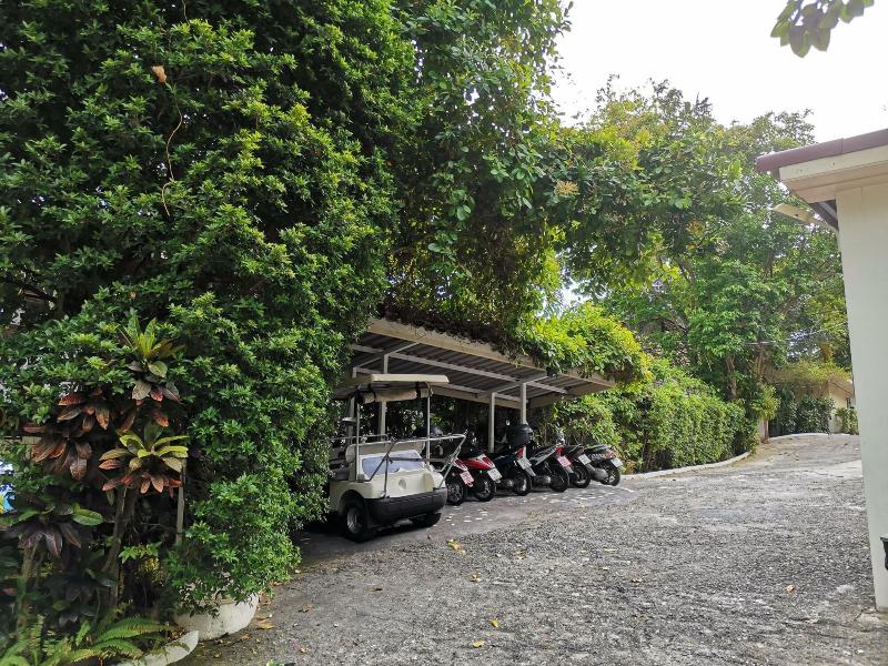 On The Hill Karon Resort - Genel