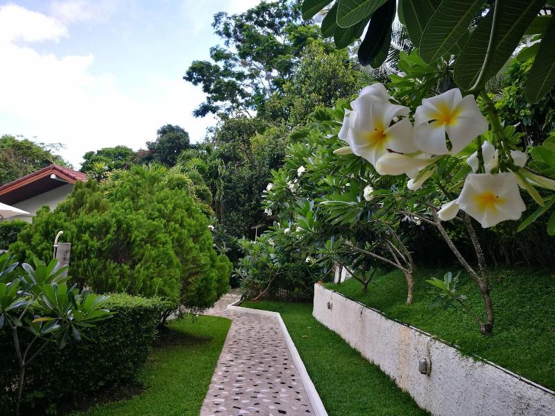 On The Hill Karon Resort - Genel