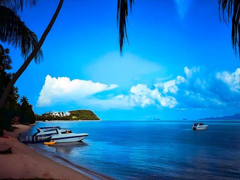 The Shore Samui - Genel