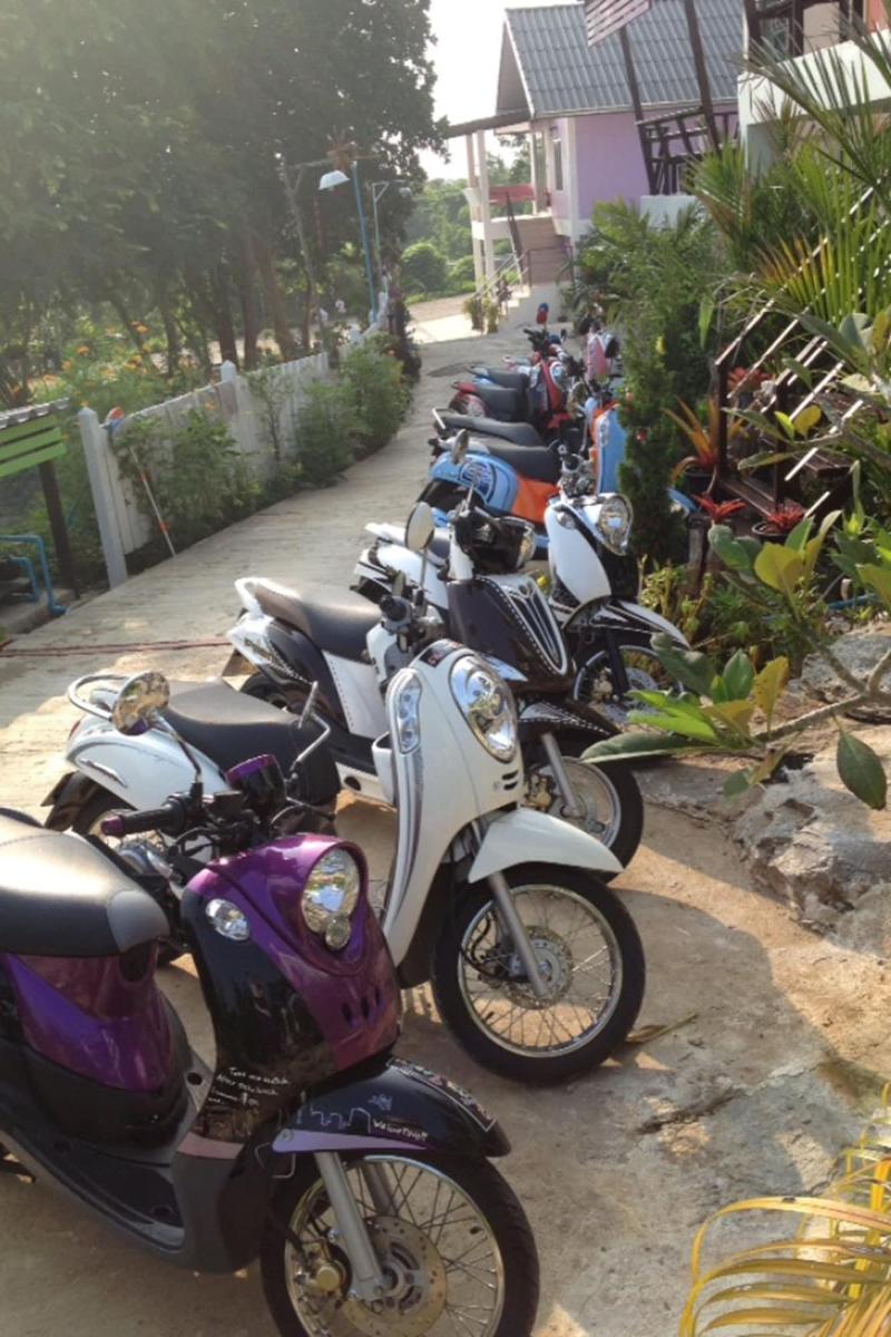 Napat Resort Koh Sichang - Aktivite
