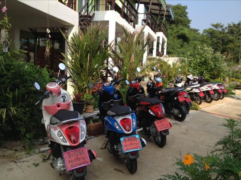 Napat Resort Koh Sichang - Aktivite