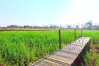 Baan Fa La Mai Resort fotoÄŸrafÄ±