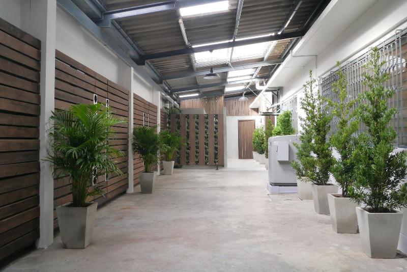Baan Mai Guest House - Aktivite