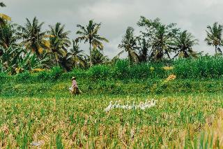 Hoshinoya Bali fotoÄŸrafÄ±