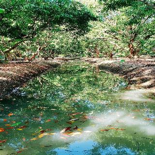 Warakorn Baansuan Amphawa fotoÄŸrafÄ±