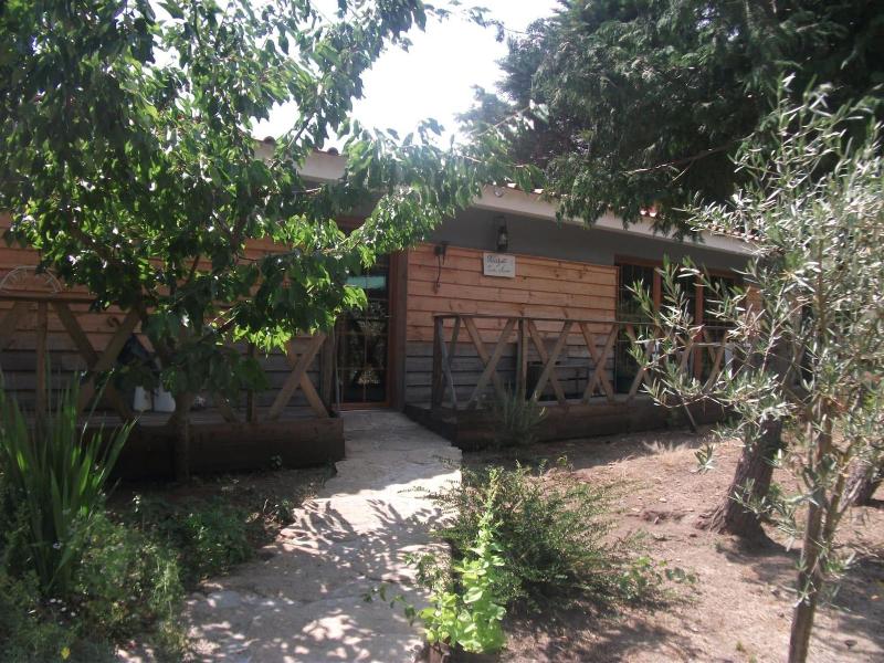 Quinta Sul America - Genel