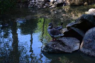 Quinta Sul America fotoÄŸrafÄ±