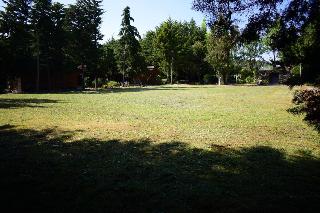 Quinta Sul America fotoÄŸrafÄ±