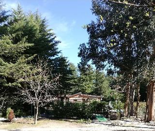 Quinta Sul America fotoÄŸrafÄ±
