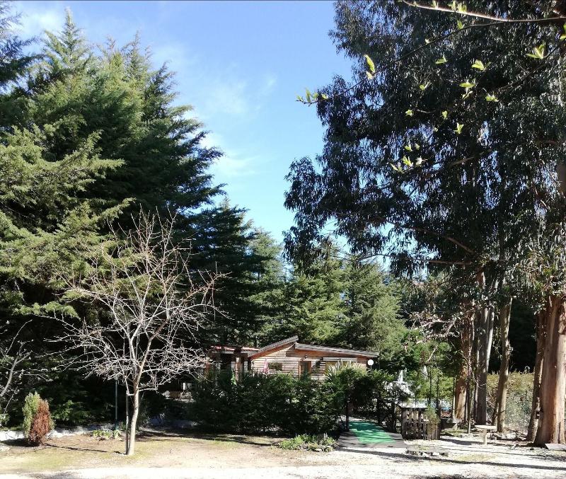 Quinta Sul America - Genel
