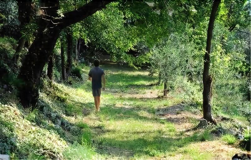 Agriturismo Delo Relais - Genel