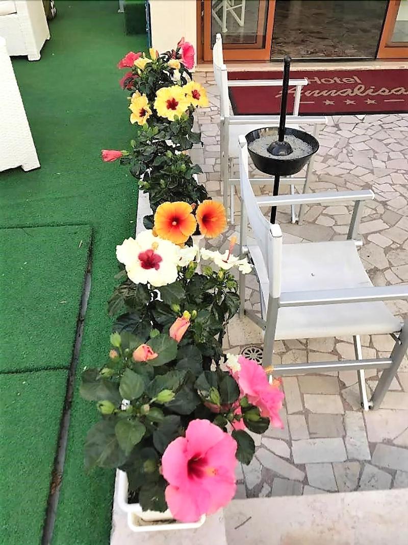 Hotel Annalisa B B And Beach - Genel
