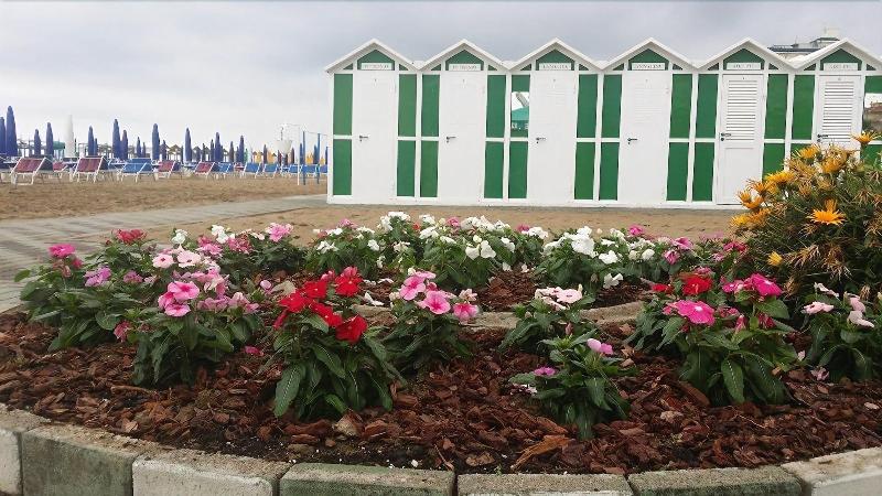 Hotel Annalisa B B And Beach - Plaj
