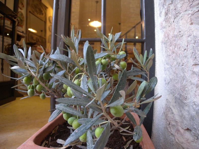 Bed And Breakfast A Casa Delle Fate - Genel