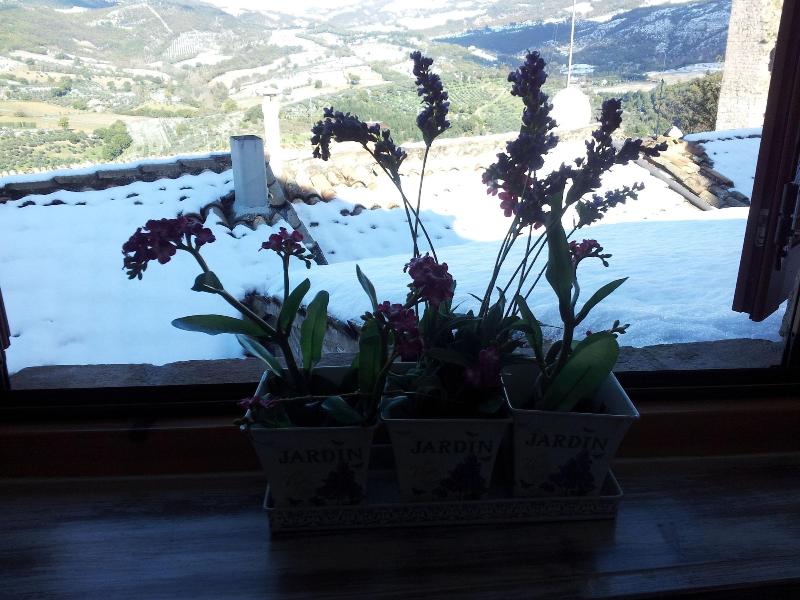 Bed And Breakfast A Casa Delle Fate - Genel