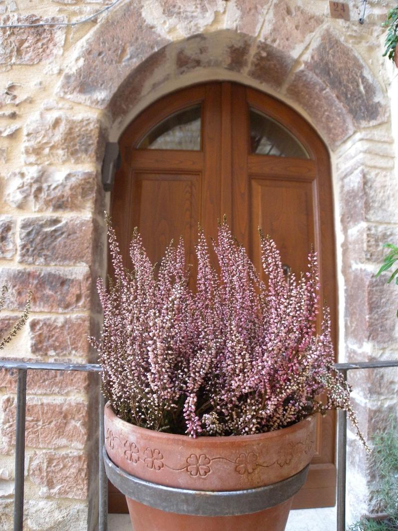 Bed And Breakfast A Casa Delle Fate - Genel