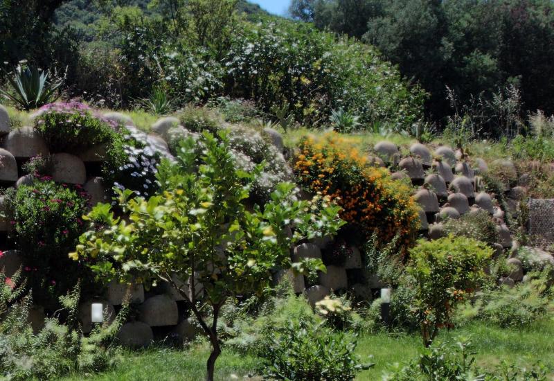 Residenza Roma - Genel