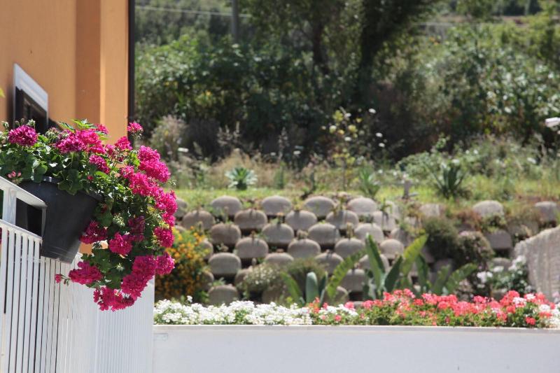 Residenza Roma - Teras