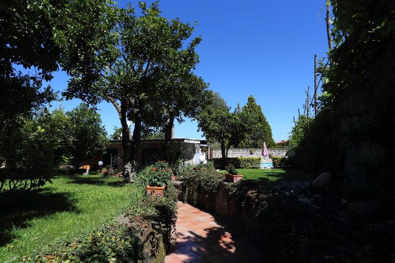 Ambrosio Relais - Genel