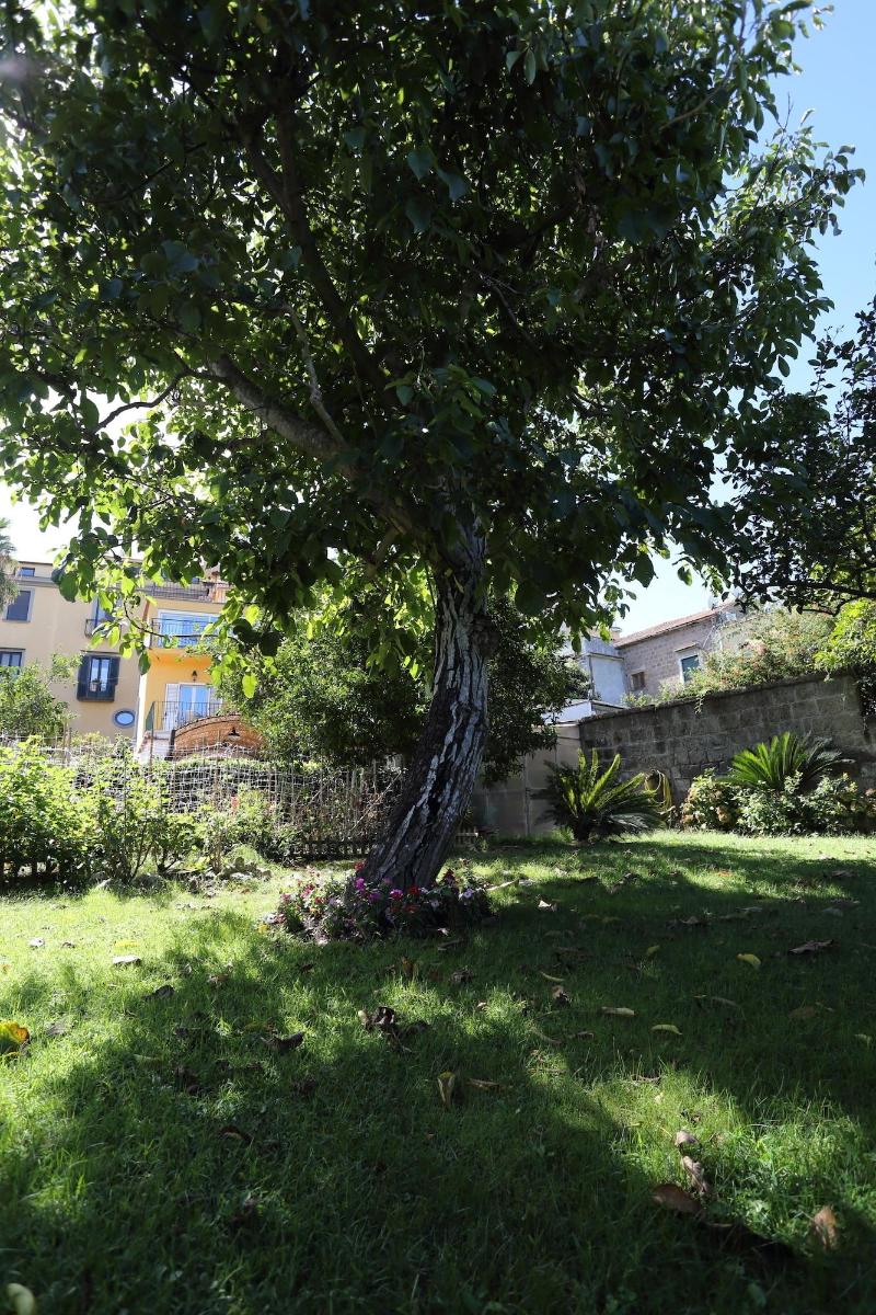 Ambrosio Relais - Genel