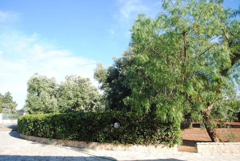 La Maison One B B - Lobi