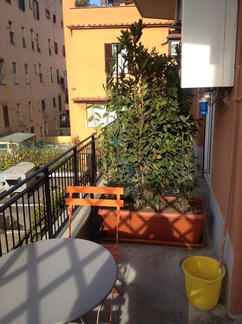 Bed And Breakfast New Morning - Oda
