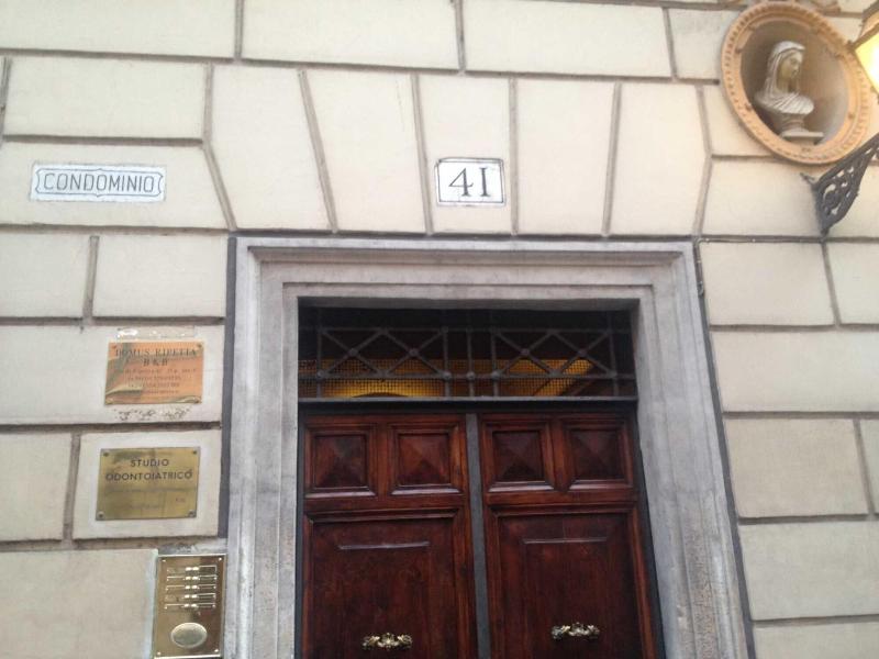 Domus Ripetta - Genel