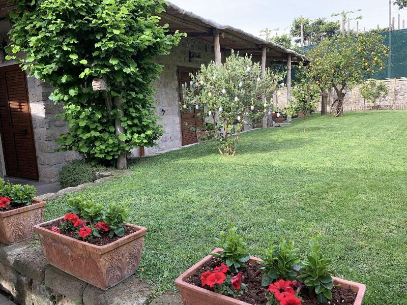 Giardino Sorrentino - Genel