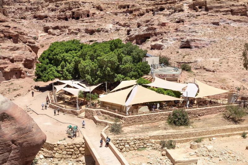 Petra Guest House - Restoran