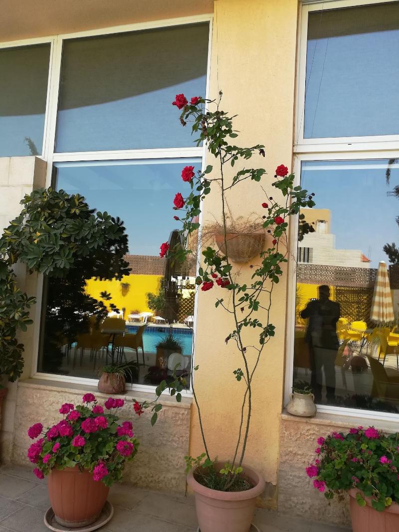 Mariam Hotel - Genel