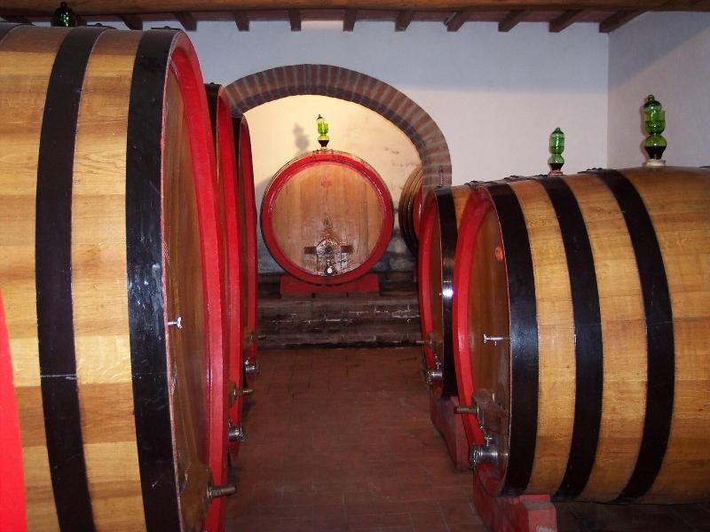 Rocca Degli Olivi - Aktivite
