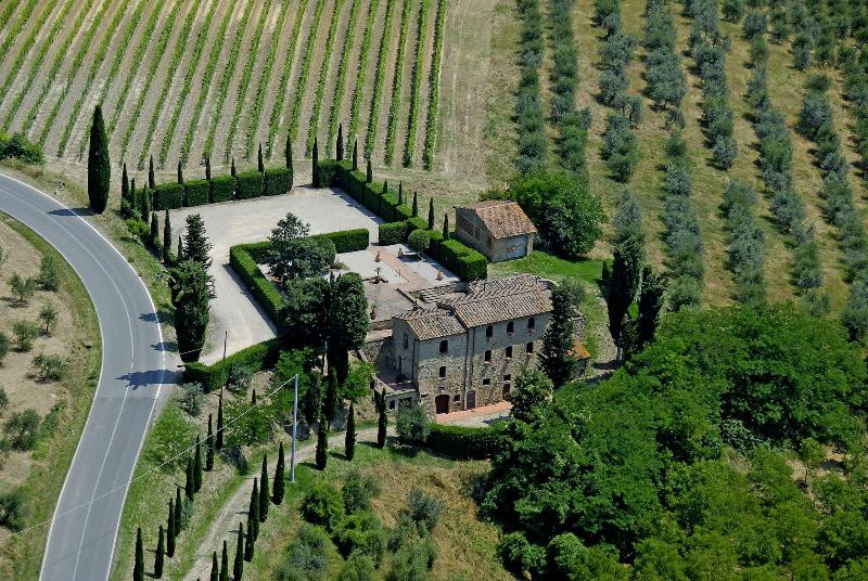 Rocca Degli Olivi - Genel
