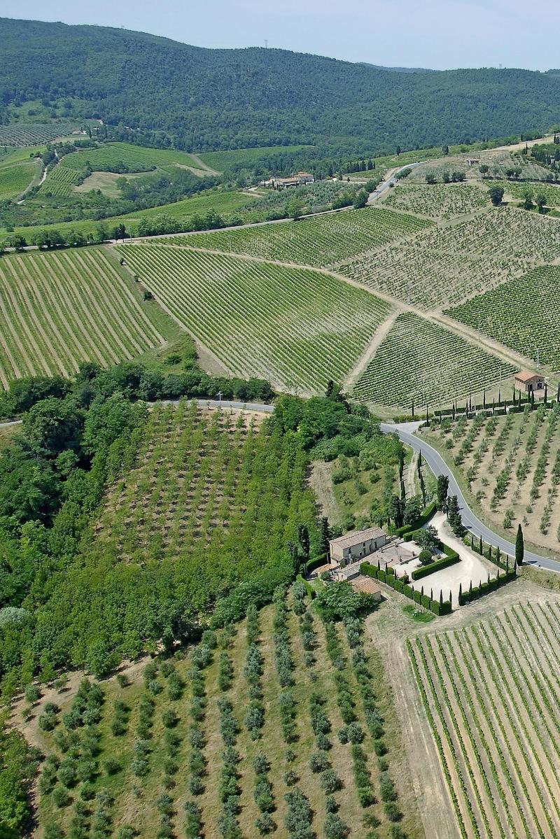 Rocca Degli Olivi - Genel