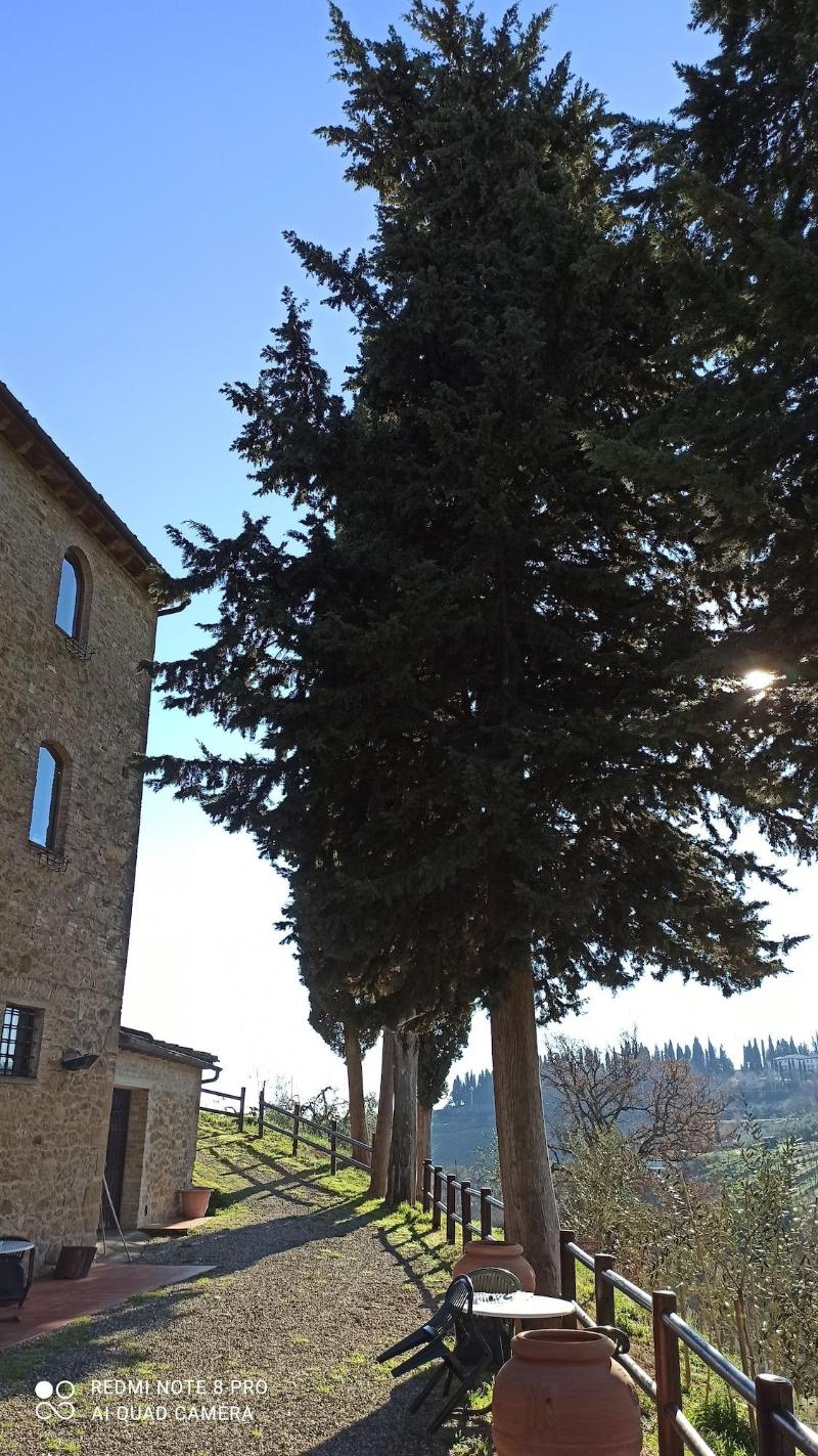 Rocca Degli Olivi - Genel