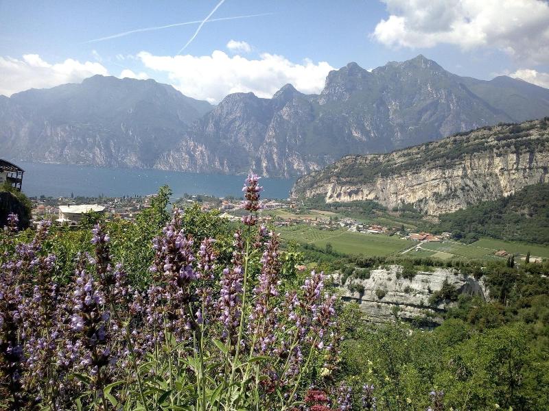 B B Garden Belvedere - Genel